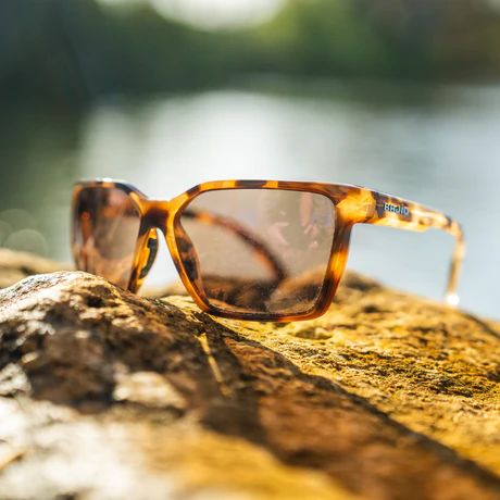 BAJIO ELDORA | Frame Color: Black Gloss | Lens Color: Grey | Lens Material: Polycarbonate Lenses